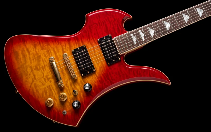 Fernandes / Burny ギター買取